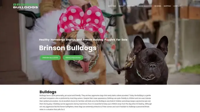 Screenshot of