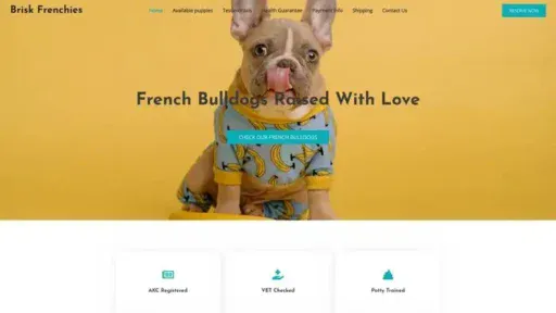Screenshot of