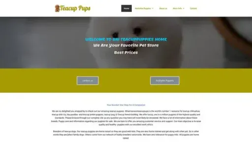 Screenshot of