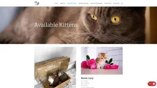 Screenshot of