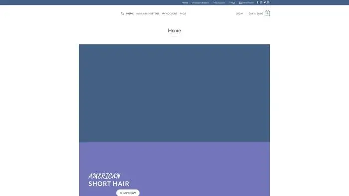 Screenshot of