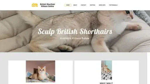 Screenshot of