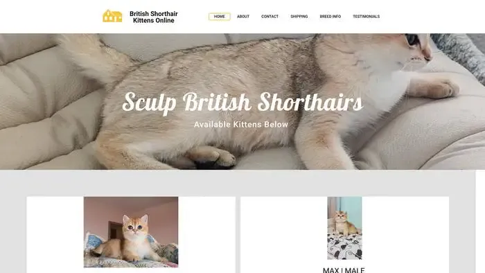 Screenshot of