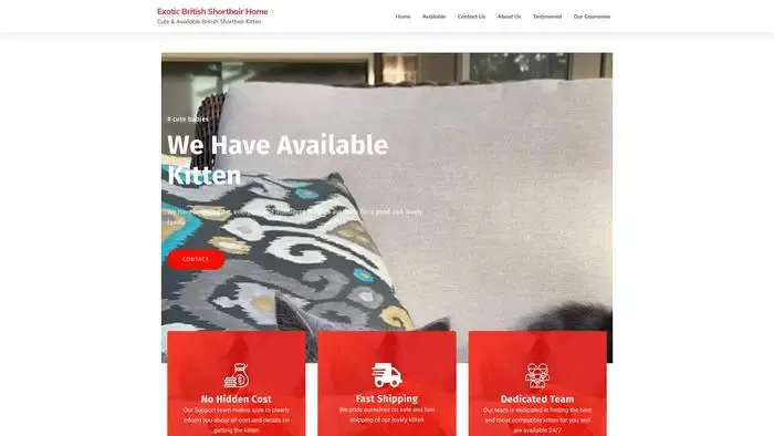 Screenshot of