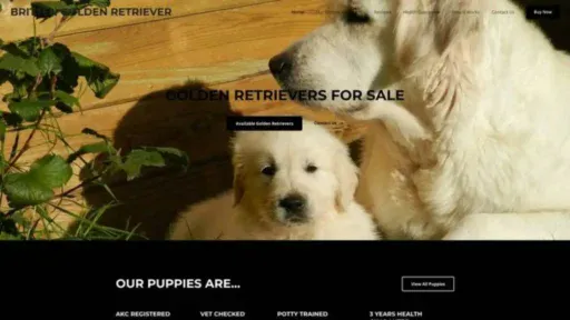 Screenshot of|