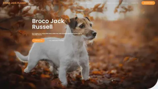 Screenshot of||