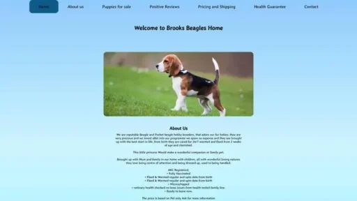 Screenshot of