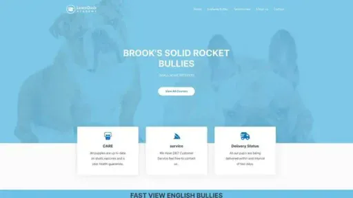 Screenshot of