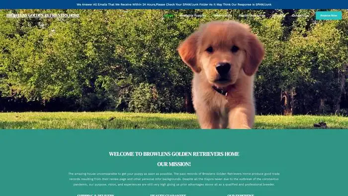 Screenshot of