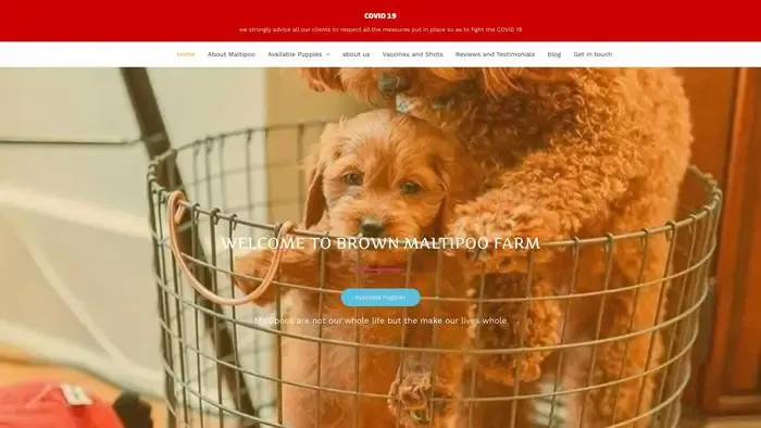 Screenshot of
