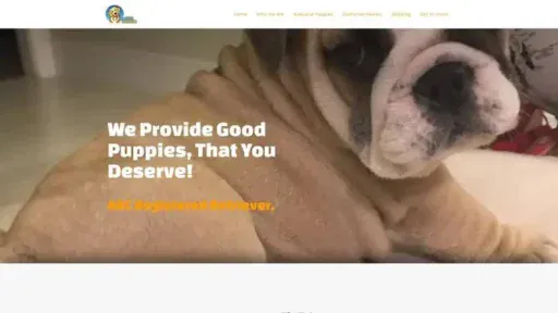 Screenshot of