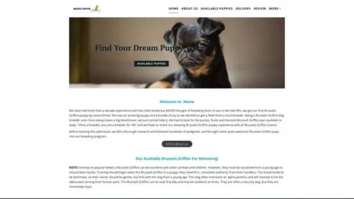 Screenshot of|