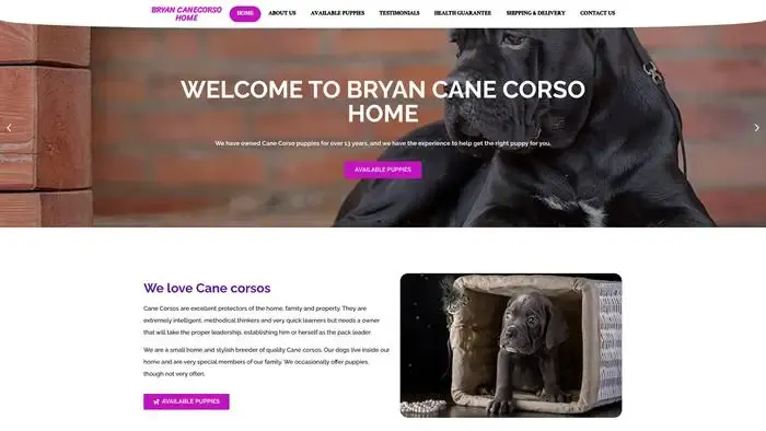 Screenshot of
