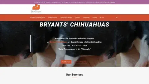 Screenshot of