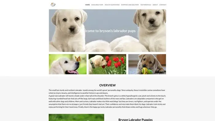 Screenshot of