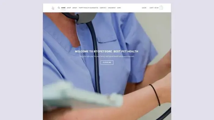 Screenshot of