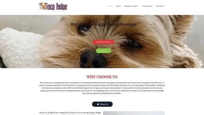 Screenshot of