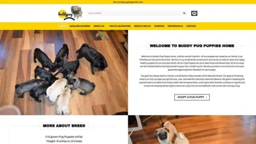 Screenshot of