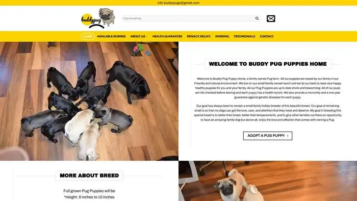 Screenshot of