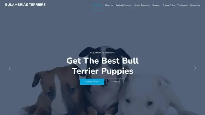 Screenshot of