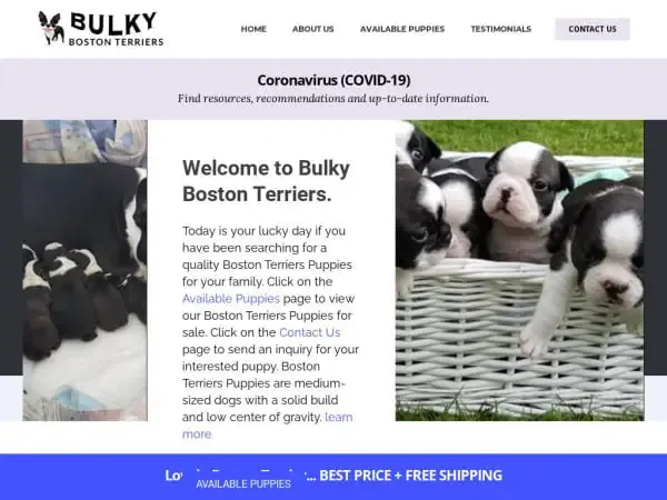 Screenshot of