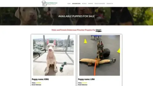 Screenshot of