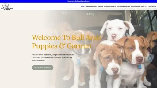Screenshot of