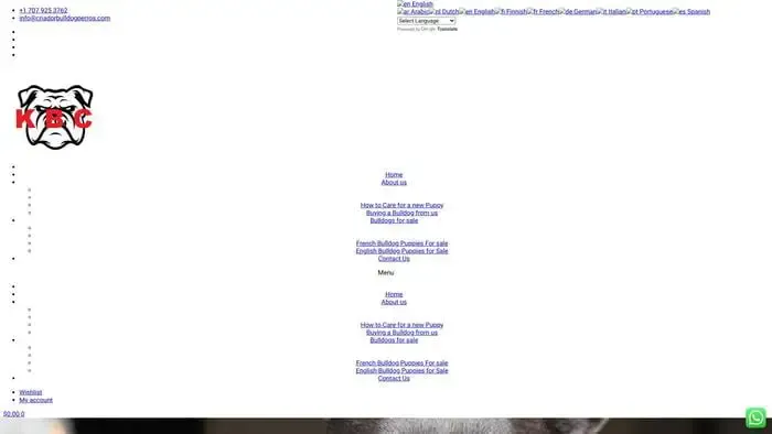 Screenshot of