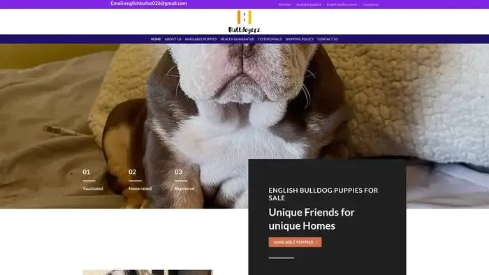 Screenshot of