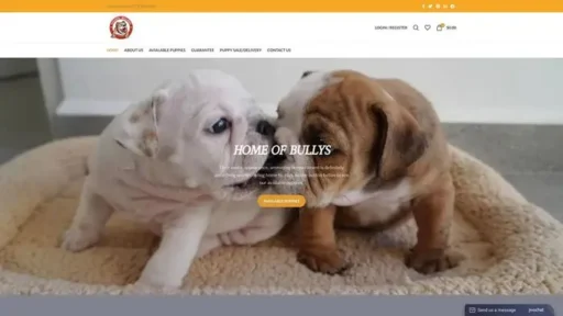 Screenshot of