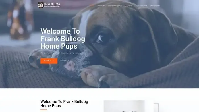 Screenshot of