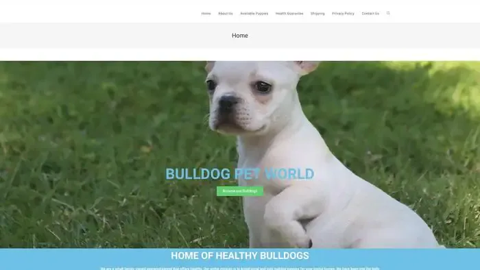 Screenshot of
