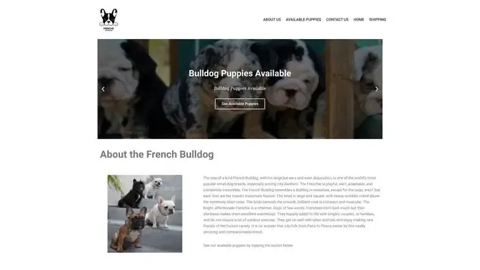 Screenshot of