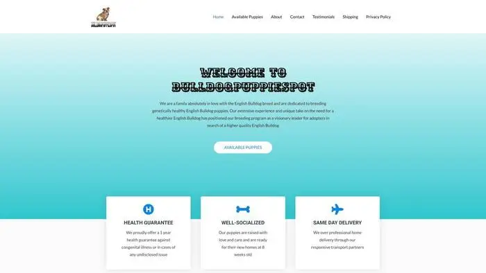 Screenshot of