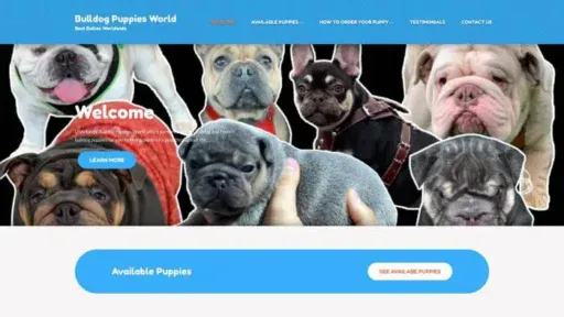 Screenshot of