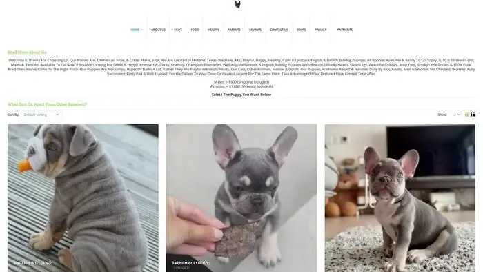 Screenshot of