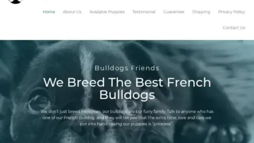 Screenshot of