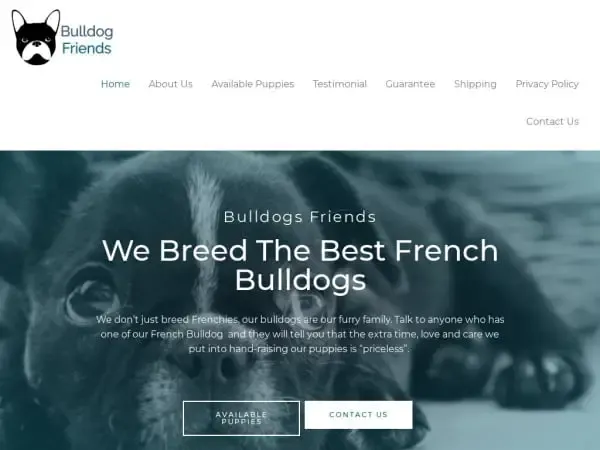 Screenshot of