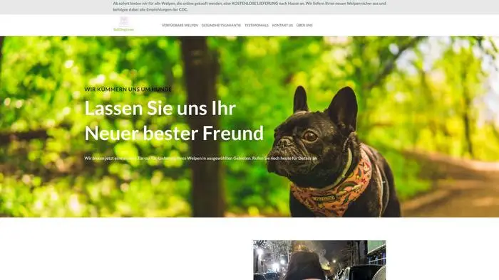 Screenshot of