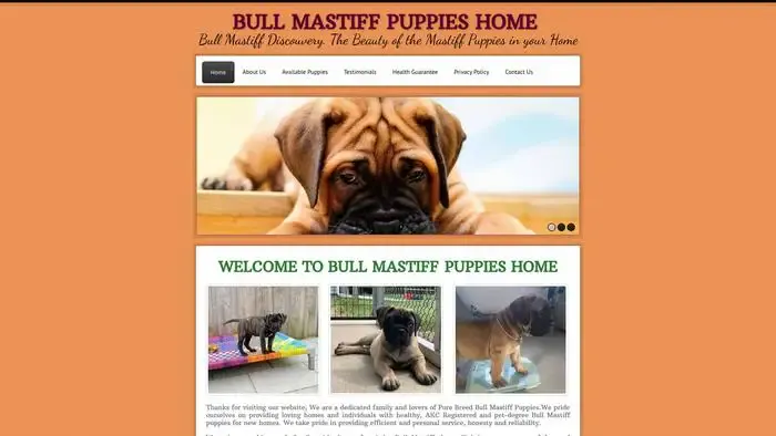 Screenshot of