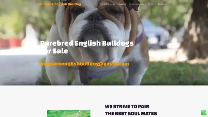 Screenshot of
