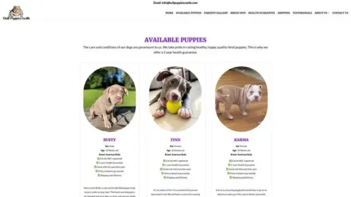 Screenshot of
