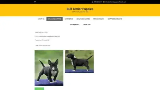 Screenshot of