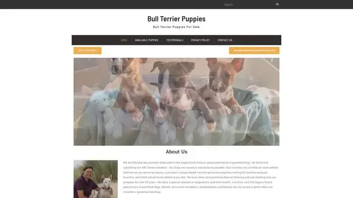 Screenshot of