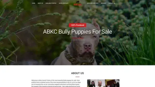 Screenshot of