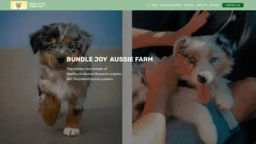 Screenshot of