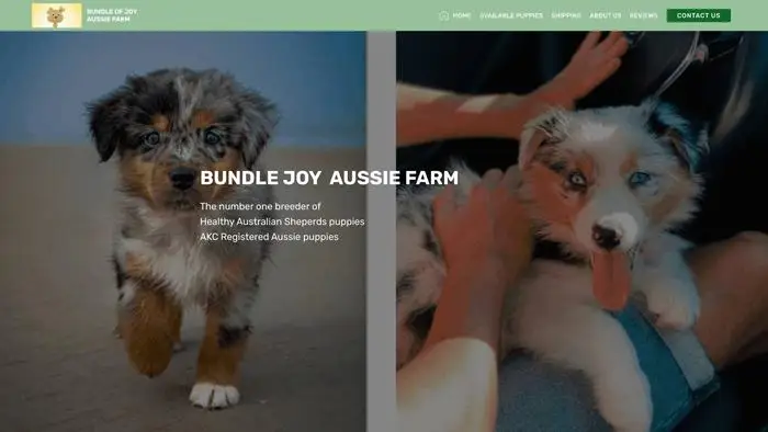 Screenshot of