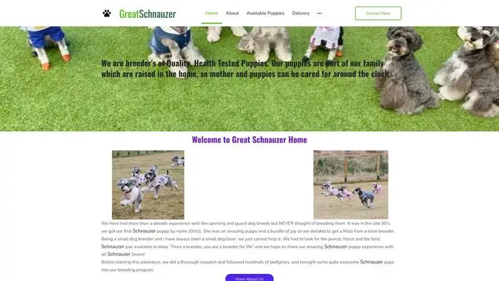 Screenshot of