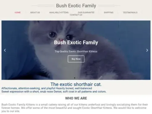 Screenshot of