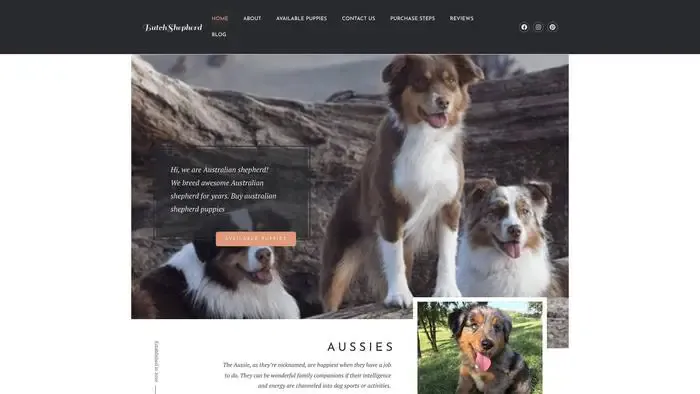 Screenshot of